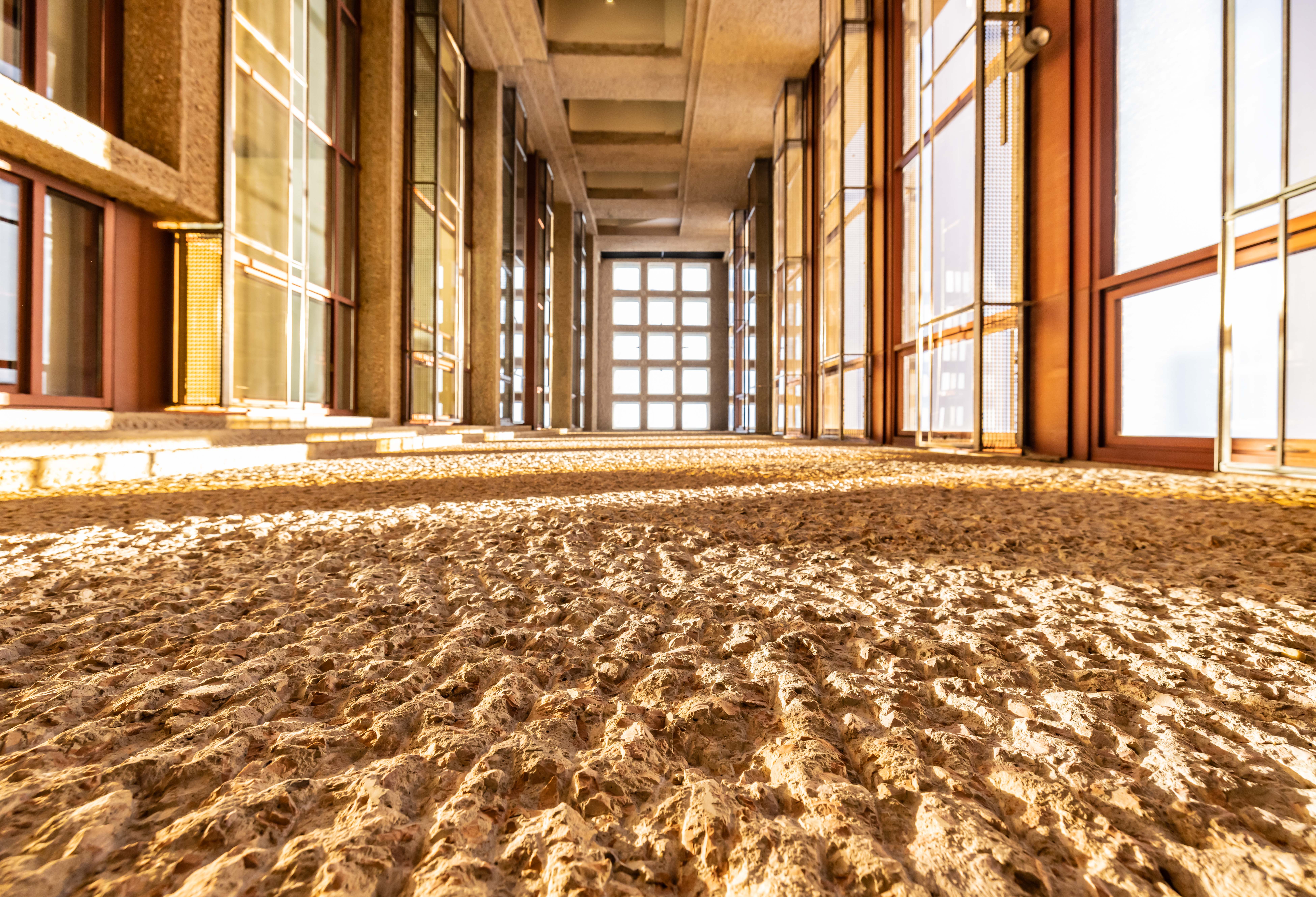 Edificio plaza américa 5 Edificio plaza américa 5